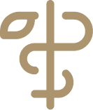 HOLISTIC & EVIDENCE-BASED CARE