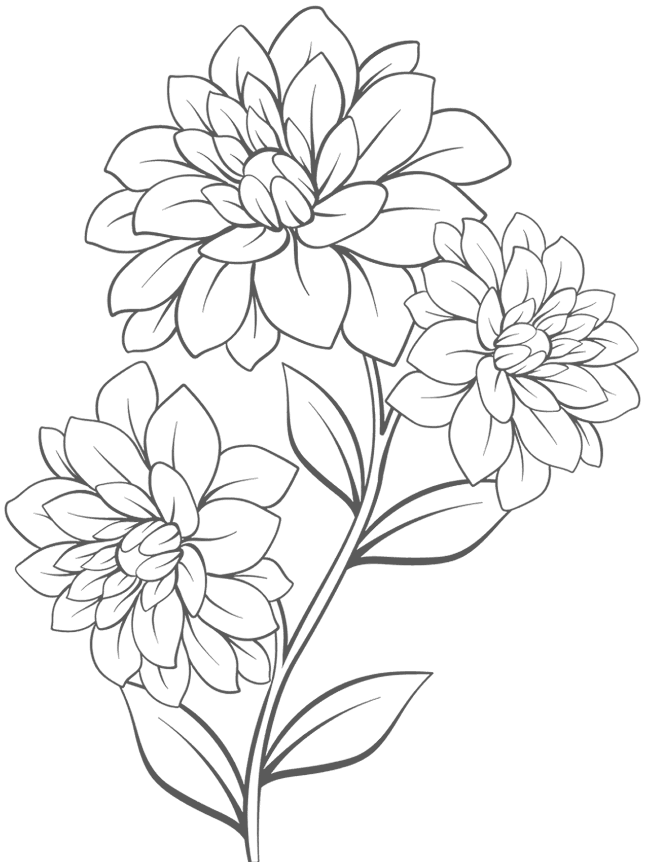 Flower Sketch